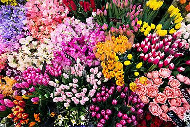 虚幻5重制《塞尔达：时之笛》新演示 画面效果惊人